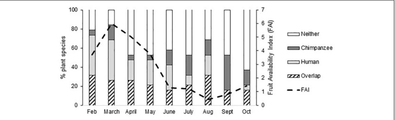 FIGURE 4 | The monthly selection of fruits from wild plant species (n = 19) by chimpanzees and humans (Overlap), humans only (Human), chimpanzees only (Chimpanzee), and not used by either (Neither), potentially because the fruits of some species are not av