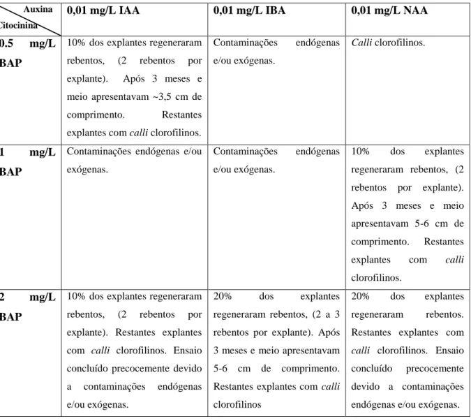 Tabela 7. Síntese de resultados da indução de RD visando a fitorregulação usada em MINO