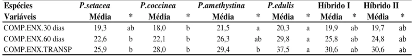 Tabela  2.4  -  Desempenho  de  diferentes  espécies  de  Passiflora  utilizadas  como  porta- porta-enxerto para o  maracujá-azedo comercial, em relação ao  comprimento do porta-enxerto aos 30  dias (COMP.ENX 30 dias)  e comprimento do enxerto aos 60 dias