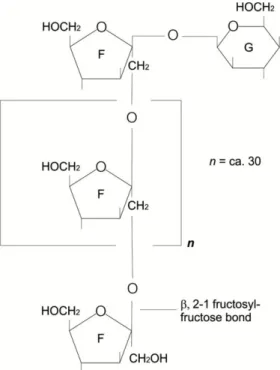 Figure 2. Molecular structure of inulin (from Vandamme and Derycke, 1983). 