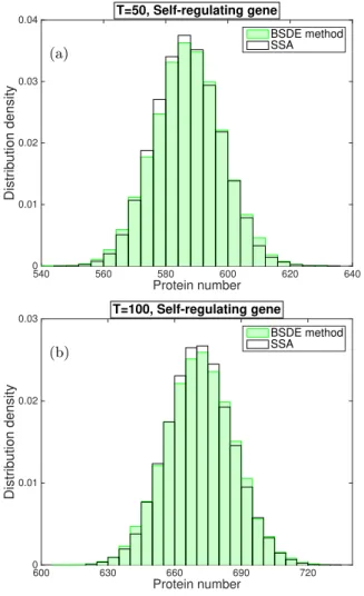 FIG. 3. Distributions of protein numbers for the self- self-regulating gene at t = 50 (a) and t = 100 (b) for the BSDE method and the SSA.