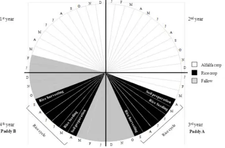 Fig.  2.  Relative  abundance  of  different  phyla  in  each  replica  of  samples  A Apr , As ep ,  ANSs ep , B Apr  and B Sep 