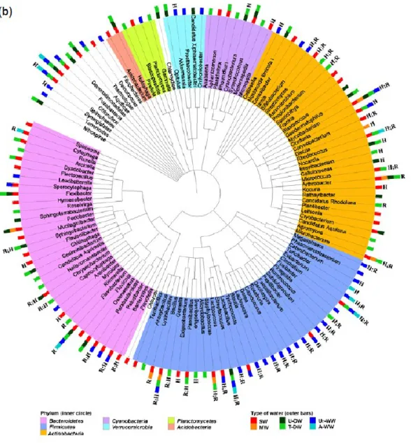 Fig. 1. Dendrogram representations of the bacterial diversity (a. Proteobacteria classes 1200 