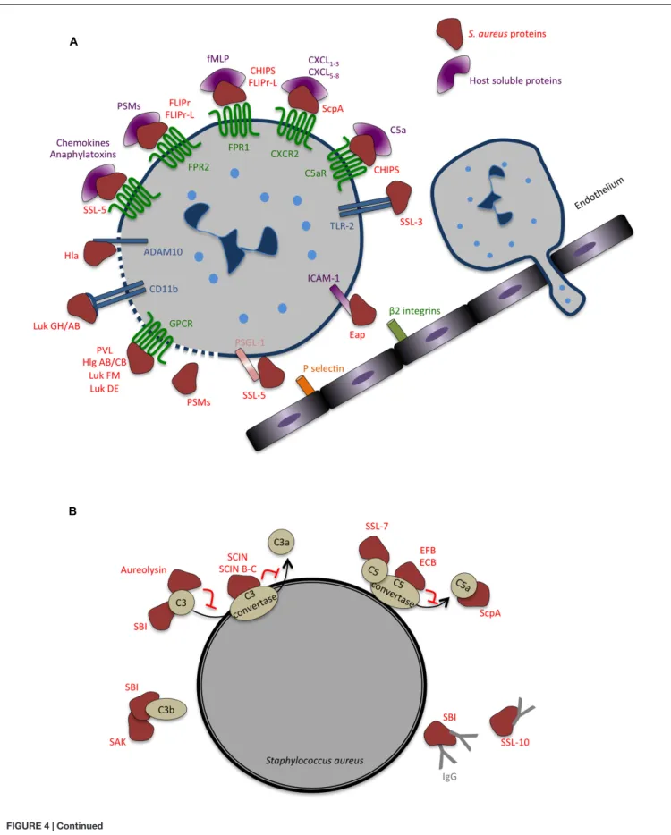 FIGURE 4 | Continued