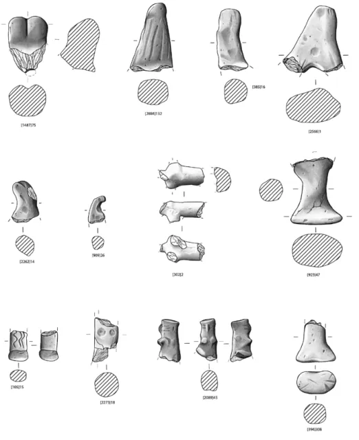 Figura 8: Corniformes, figuras zoomórficas e antropomórficas de São Pedro