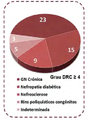 Fig. 3 - Etiologia da doença renal crónica.