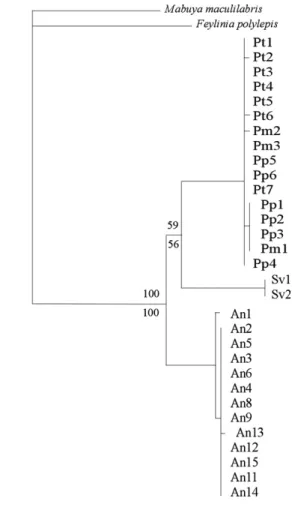 Fig. 3. Tree derived from Bayesian analysis of combined 12S rDNA, 16S rDNA fragments and cytochrome b