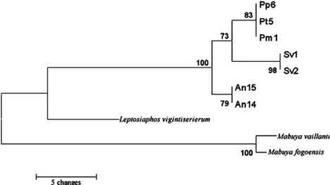 Fig. 4. MP tree obtained with Close-Neighbor-Interchange (CNI) with search level 3, showing the relationships derived from partial sequences of c-mos.
