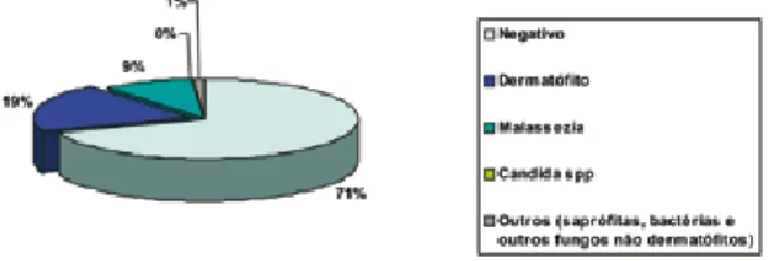 Fig. 2 - Resultado do exame micológico directo dos doen- doen-tes com cultura positiva.