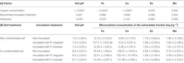 TABLE 2 | (A) P-values of the two-way ANOVA test for the effects of the factors “Copper contamination” and “Mycorrhizal inoculation treatment” and their interaction;