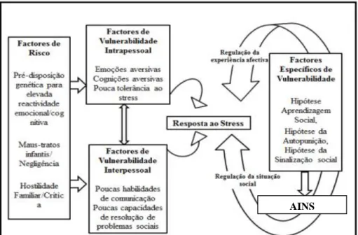 Figura 2 – Desenvolvimento e manutenção da AINS segundo modelo de Nock (2010) 