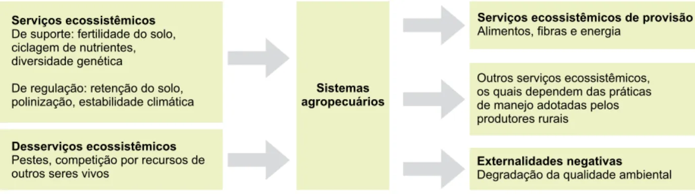 Figura 2. Serviços e desserviços ecossistêmicos, agropecuária e externalidades.