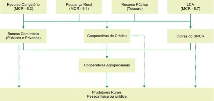 Figura 1. Fluxo do crédito rural entre a fonte do recurso e o beneficiário.