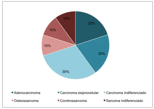 Gráfico 6. Classificação histológica das neoplasias sinonasais na amostra em estudo. 