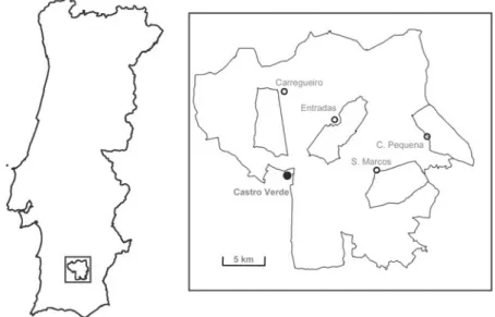 Figure 1. Map of the study area showing its location in Southern Portugal and the limits of the four study sub-areas.