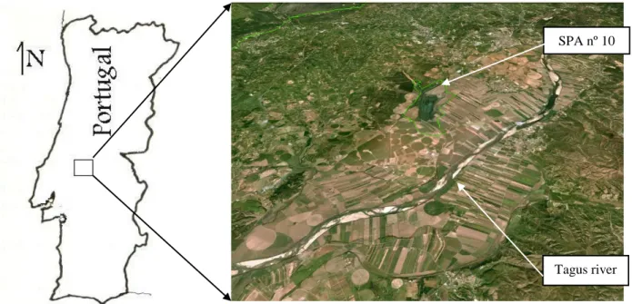Figure  II.1:  Agricultural  landscape  nearby  the  Special  Protection  Area  (SPA  nº  10) 