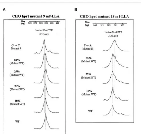 Figure 5. mf-LLA limit of detection. Reconstruction experiments were performed in which (A) hprt 9 or (B) hprt 18 mutant sequences were independently mixed with wild-type (WT) sequences in different proportions and subjected to mf-LLA analysis