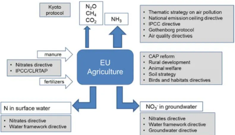 Figure  1.  Overview  of  the  EU  policy  instruments  affecting  the  use  and  losses  of  nitrogen  in  agriculture  (CLRTAP,  Convention  on  Long  Range  Transport  of  Atmospheric  Pollutants;  IPPC,  directive  on  integrated  pollution,  preventio
