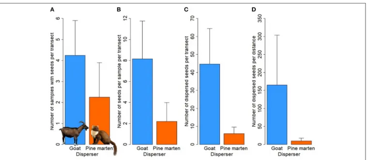 FIGURE 4 | Means (± SE) among the four transects of different quantitative variables for the two dispersers, goat (blue bars) and pine marten (orange bars).