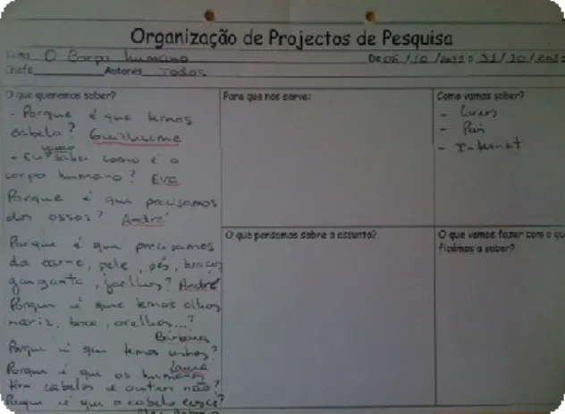 Figura 12. Organização de projeto de pesquisa sobre o corpo humano