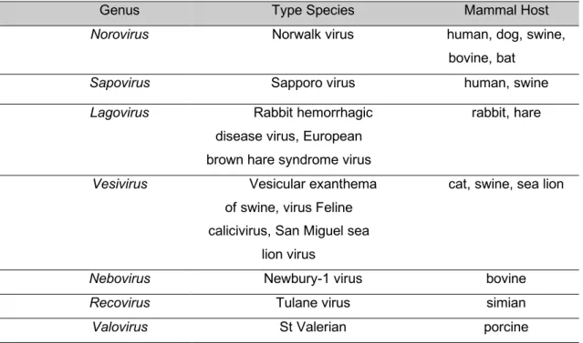 Table 1. Caliciviridae family classification including genus, type virus of mammal hosts  