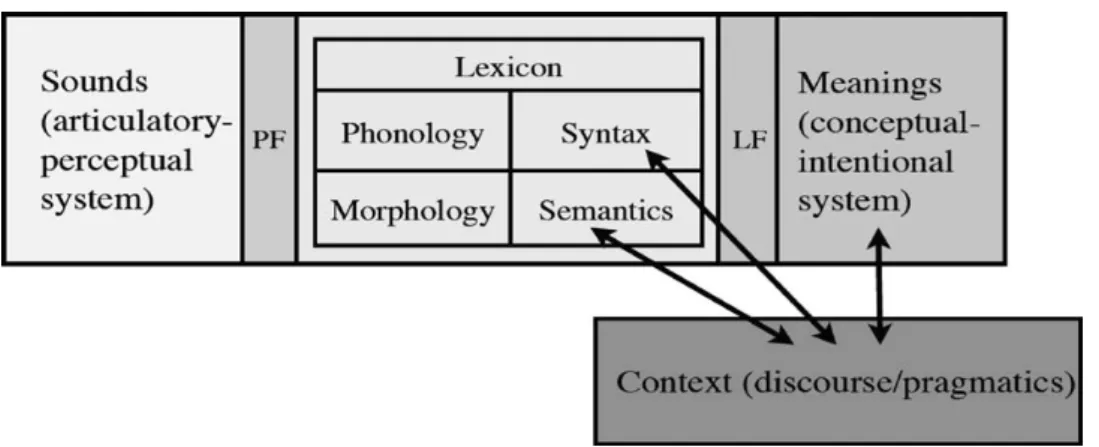 Fig. 1. Cognitive–linguistic interface design: White (2009).