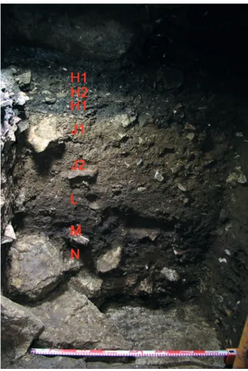 Figura 7: Sección estratigráfica (pared norte) de El Cierro,  resultante de las excavaciones llevadas a cabo en los depósitos 