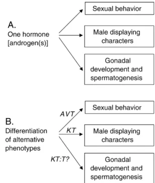 Fig. 2. Hypothesis to explain the proximate mechanisms underlying the expression of alternative reproductive tactics: (A) classic view according to which androgens play a major role in the differentiation of alternative phenotypes by acting pleiotropically