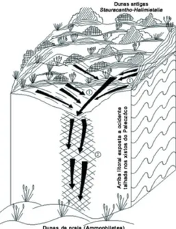 Figura  2  -  Esquema  de  circulação  da  água  nas  arribas xistosas do sudoeste de Portugal