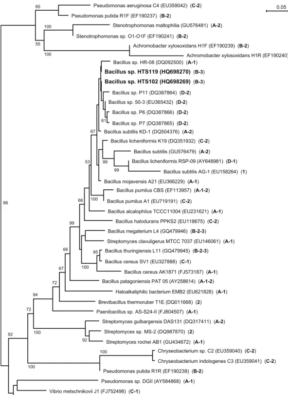 Figure   2.1.6   -­‐   Phylogenetic   tree   of   16S   rRNA   gene   sequences   of   the   strongest   protease   producers    from   the   wool-­‐associated   bacterial   population   (i.e