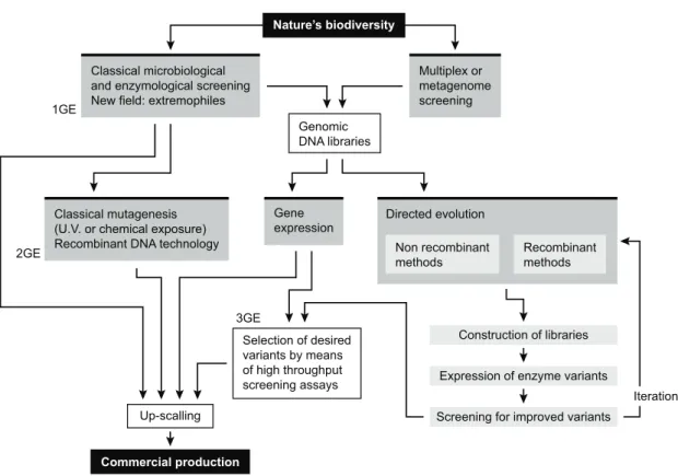 Figure    1.1.1    -­‐    Schematic    representation    of    classical    and    novel    “research-­‐flows”    leading    to    commercial    protease    production