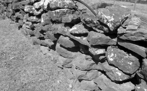 Fig. 3. Muro construído com blocos de minérios ferromanganesíferos, certamente pro- pro-venientes de jazidas locais