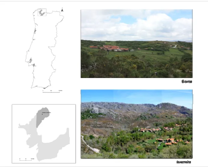 Figure 1. Location of Peneda-Gerês National Park (light grey) and the study area, including Castro  Laboreiro parish (dark grey)