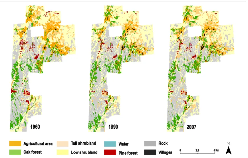 Figure 2. Thematic maps of landscape interpretation, for the years 1960, 1990 and 2007