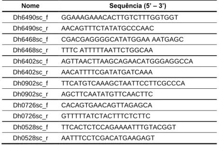 Tabela 10 – Primers utilizados na PCR de confirmação dos fragmentos clonados. 