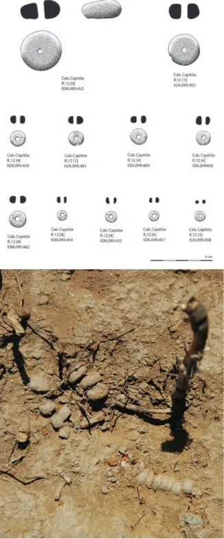 Fig. 11.  Amber beads from Cabecinho do Capitôa found in situ (in  colour in the electronic version)