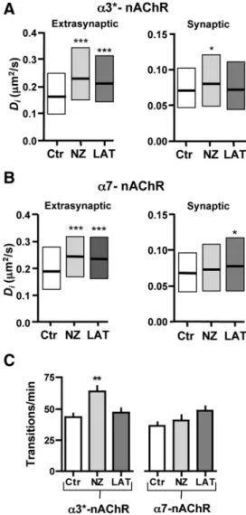 Figure 3. Different cytoskeletal regulation for ␣ 3*-nAChR and ␣ 7-nAChR lateral diffusion.
