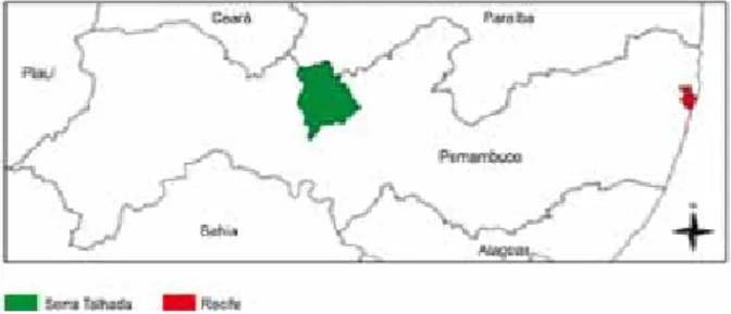 Figura 1. Mapa com a localização de Serra Talhada.