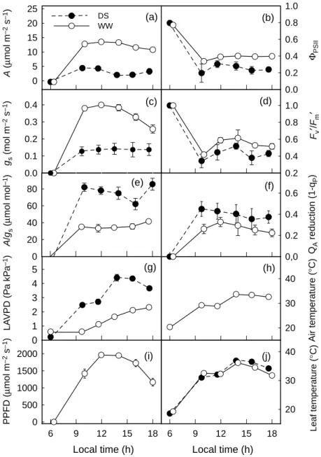 Fig. 2. Daily courses of (a) net CO 2  assimilation (A), (b) quantum yield of PSII centres (Φ PSII ), (c) stomatal conductance (g s ), (d) efficiency of open PSII centres (F v ′F m ′), (e)  intrinsic water use efficiency (A/g s ), (f) reduction state of th