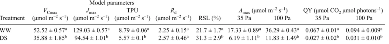 Fig. 2). However, no permanent damage to PSII centres was observed, as indicated by the quantum yield of PSII of dark-adapted leaves (see data for 6 am in Fig