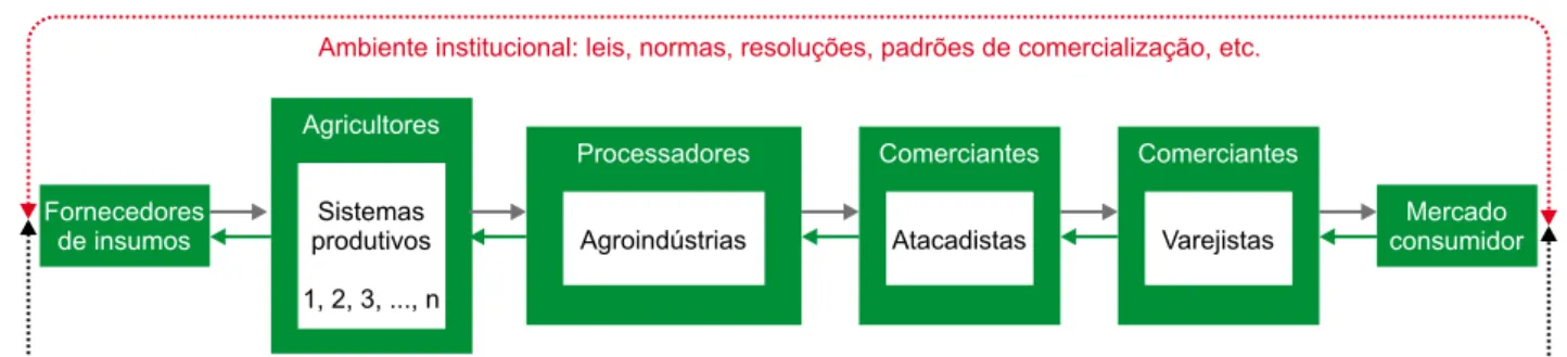 Figura 5. Representação esquemática de uma cadeia produtiva de produto de origem vegetal, segundo metodolo- metodolo-gia da Embrapa.