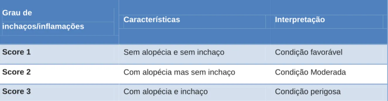 Tabela 4 – Escala para avaliação de condição corporal (adaptado de Hulsen 2005) 