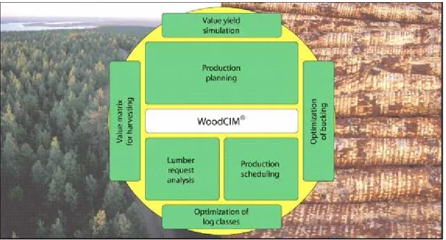 Figura 1: WoodCIM ® , sistema integrado de optimização da cadeia de conversão da madeira (Forestec 2005) 