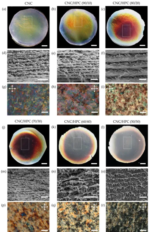 Figure 3. (a–c,j–l) Photographs of neat CNCs and CNC/HPC films with different content of HPC taken  under uncollimated unpolarised white light; (d–f,m–o) SEM images of the central region of the  cross-section of the CNCs and CNC/HPC films, where the chiral