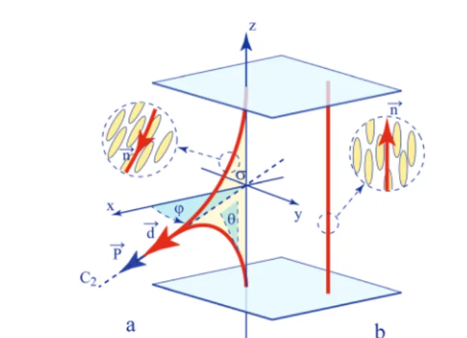 Fig. 1 Textures of a nematic confined between two surfaces with home- home-otropic anchoring conditions: (a) the dowser (quasi-planar) texture