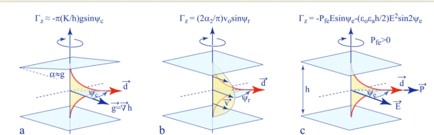 Fig. 2 Tropisms of the dowser texture. (a) Cuneitropism: orientation of the dowser field d by a thickness gradient g