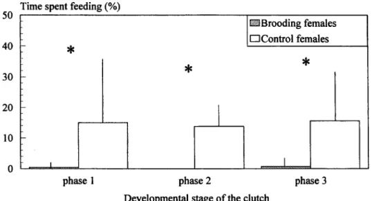 Fig. 3. Variation (mean ± standard deviation) of the time spent feeding by mouthbrooding and control females along the mouthbrooding cycle