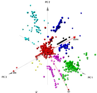 Figure 6. Component analysis for full-length CFTR variants. PCA was performed using the package 