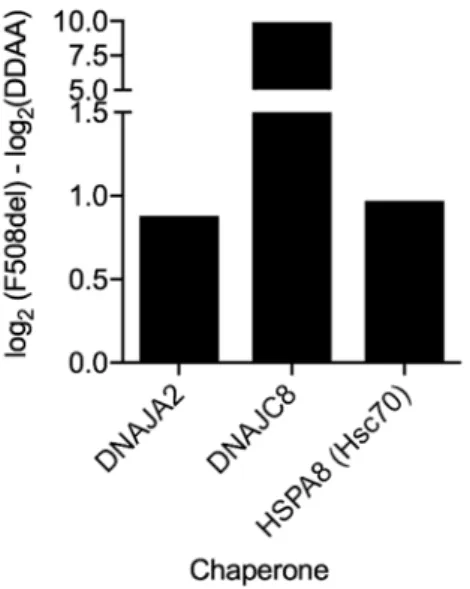 Figure 8. Association of f508del-CFTR with chaperones compared to DD/AA-CFTR. The protein  affinity for the two variants under analysis was assessed by calculating  log 2 (Condition 1) − log 2 (Condition 2)| and shown for variants with −log 10 (p-value)  ≥