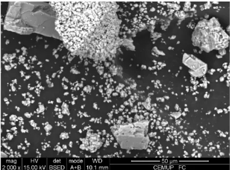 Fig. 3.4 – Fíler calcário observado num microscópio electrónico de varrimento com uma ampliação de 2000 x